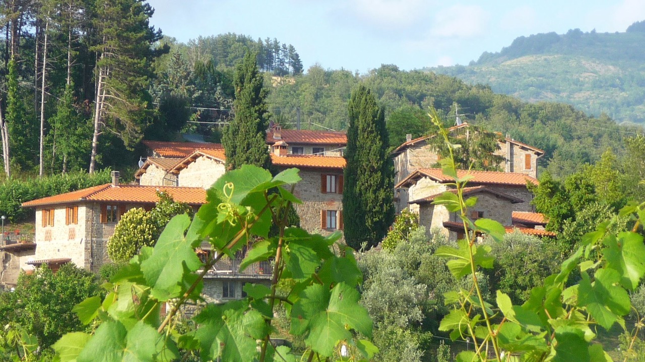 Photo of Others in Pratovecchio