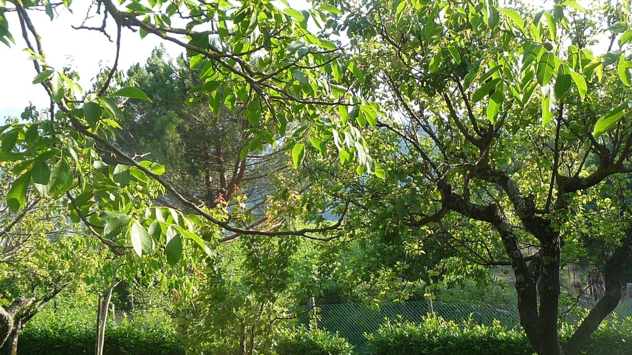 Photo of Others in Pratovecchio