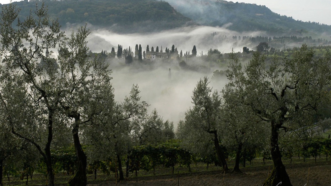 Photo of Others in Saline di Volterra