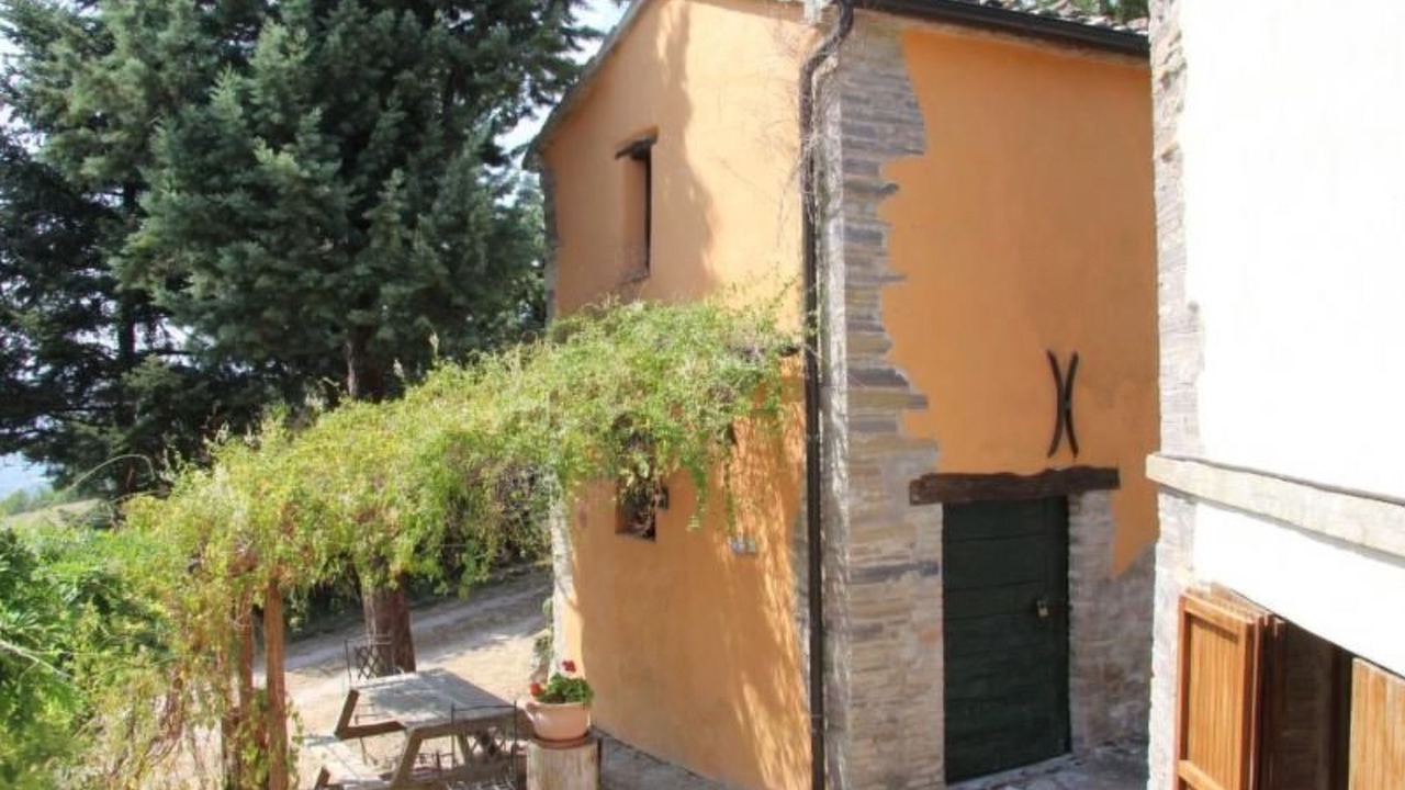 Photo of Others in Urbino