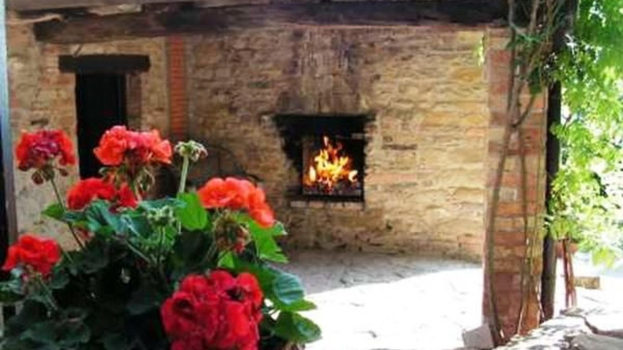Photo of Others in Urbino