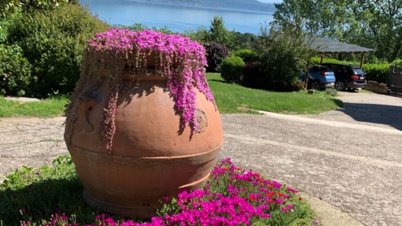 Photo of Others in Lake Bracciano