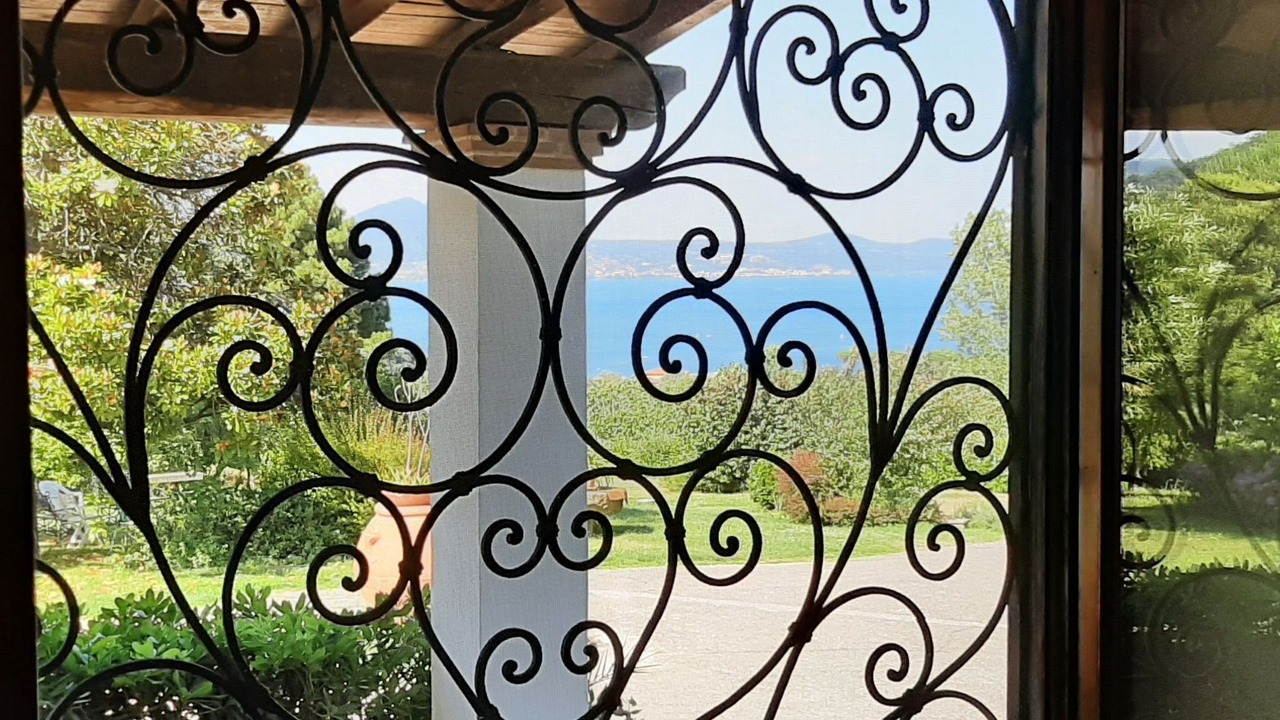 Photo of Others in Lake Bracciano