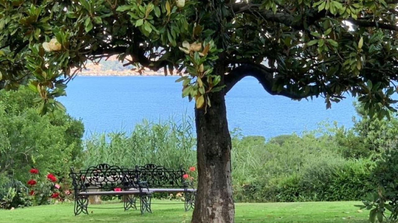 Photo of Others in Lake Bracciano