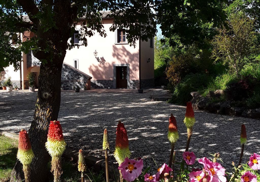 Photo of Others in Bagnoregio