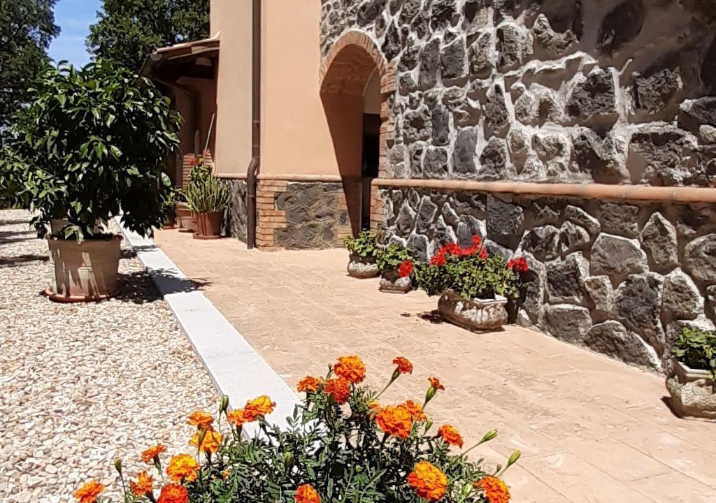 Photo of Others in Bagnoregio
