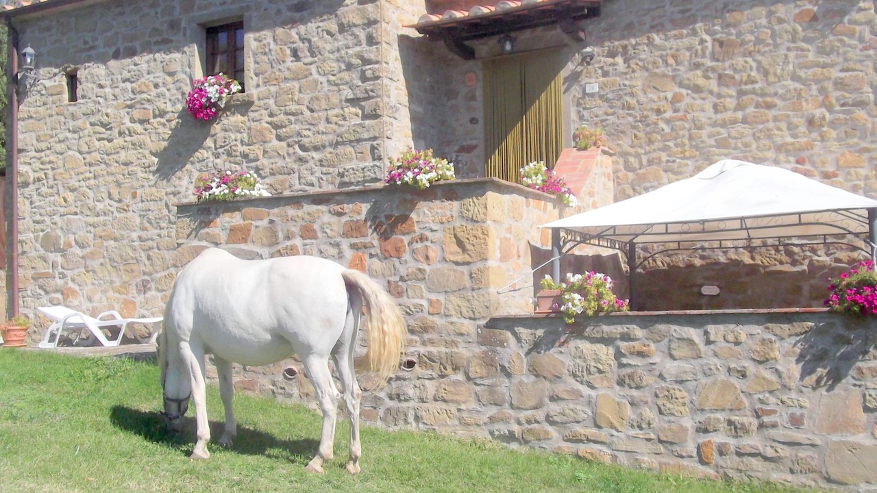 Photo of Others in Pieve di Chio