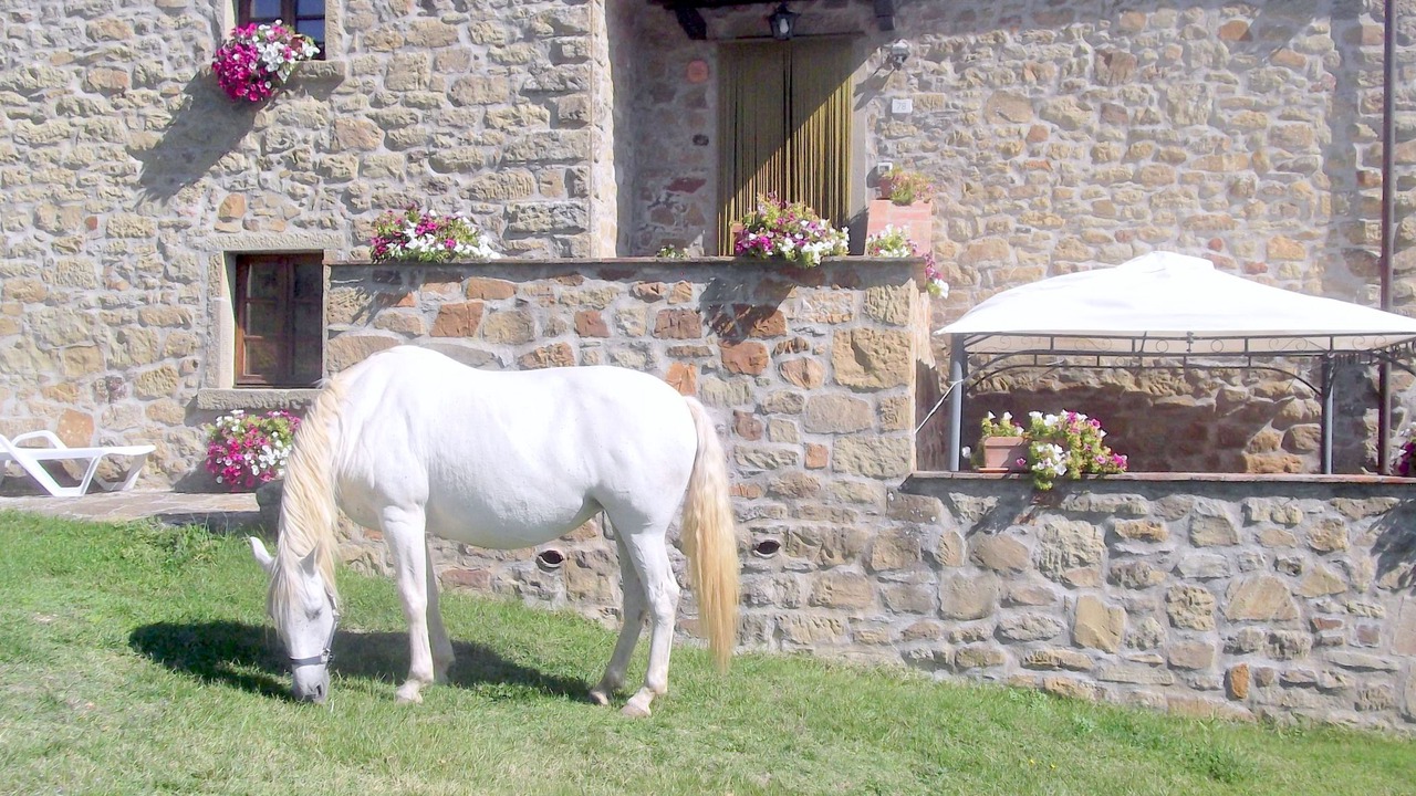 Photo of Outdoor in Pieve di Chio