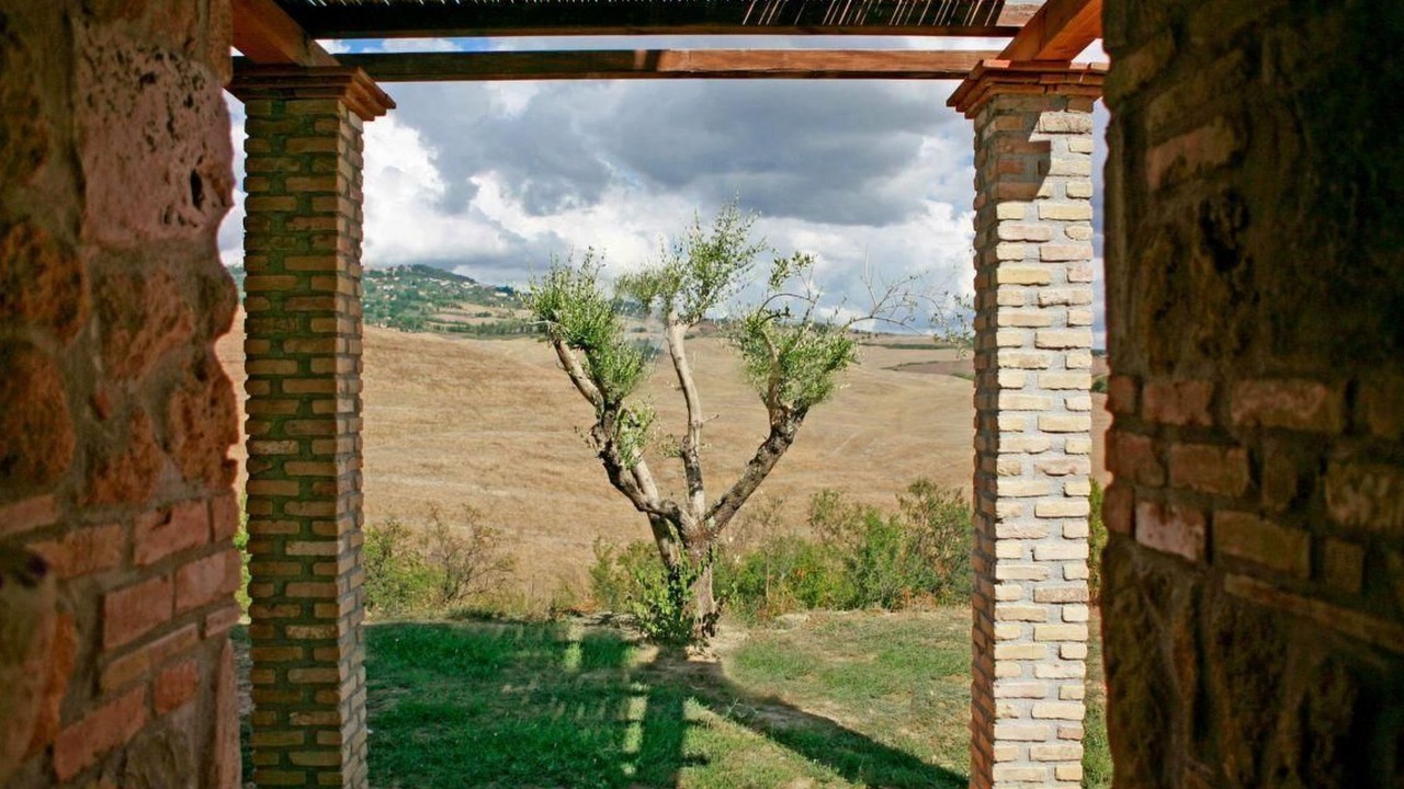 Photo of Outdoor in Saline di Volterra