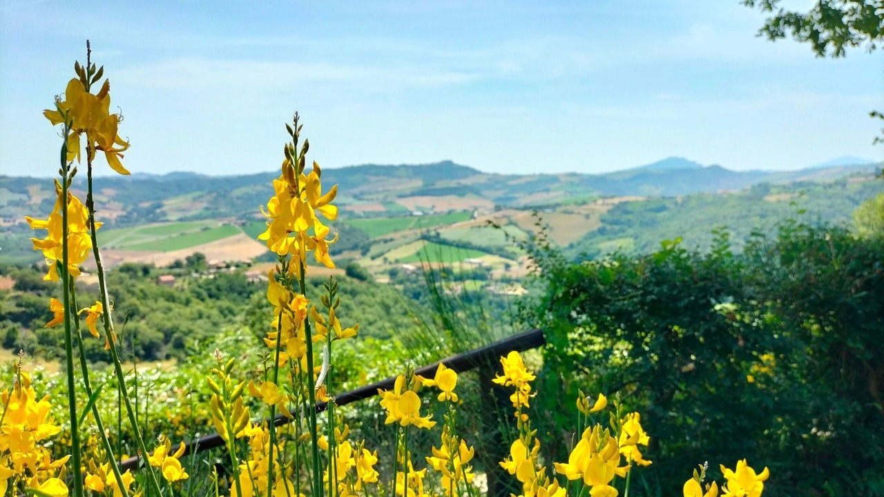 Photo of Outdoor in Penna San Giovanni