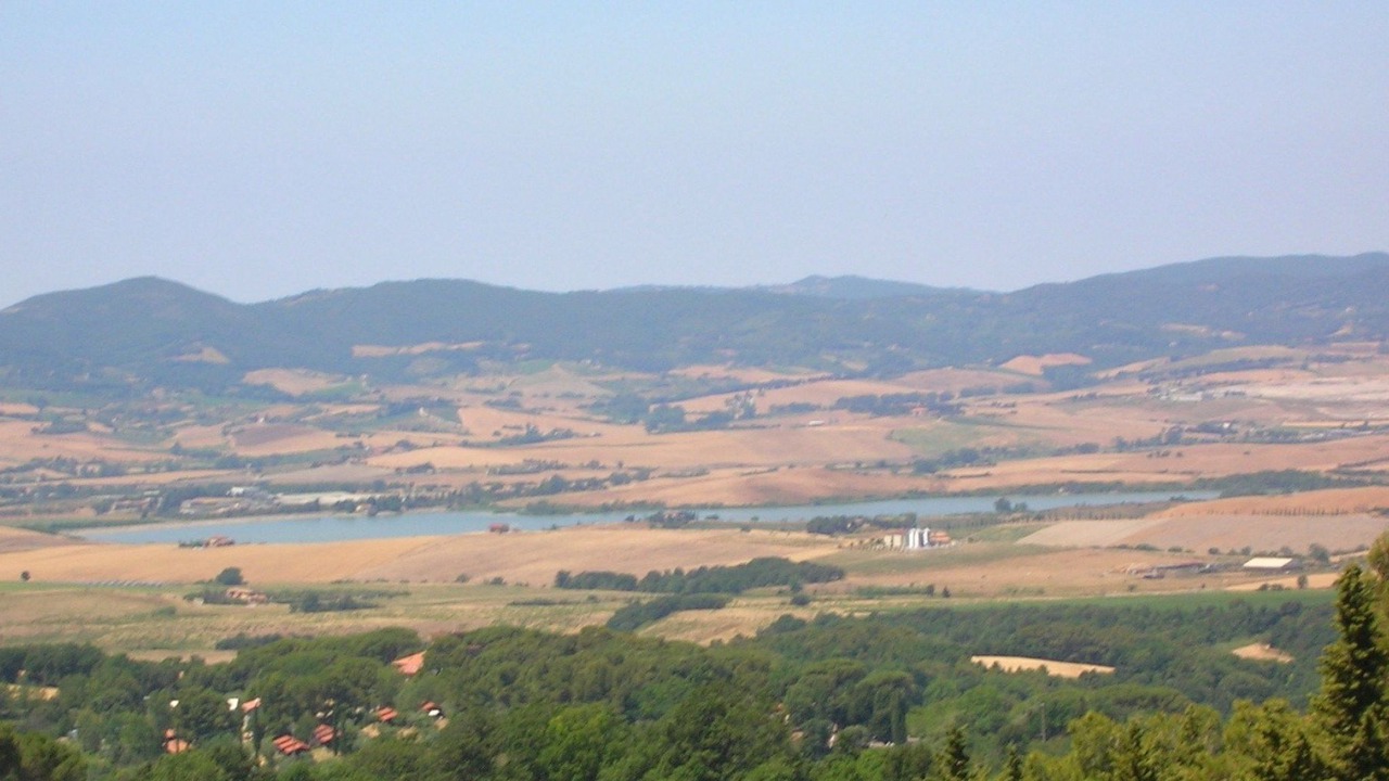 Photo of Others in Castellina Marittima
