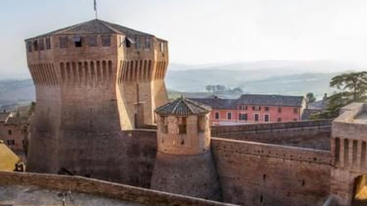 Photo of Others in Urbino