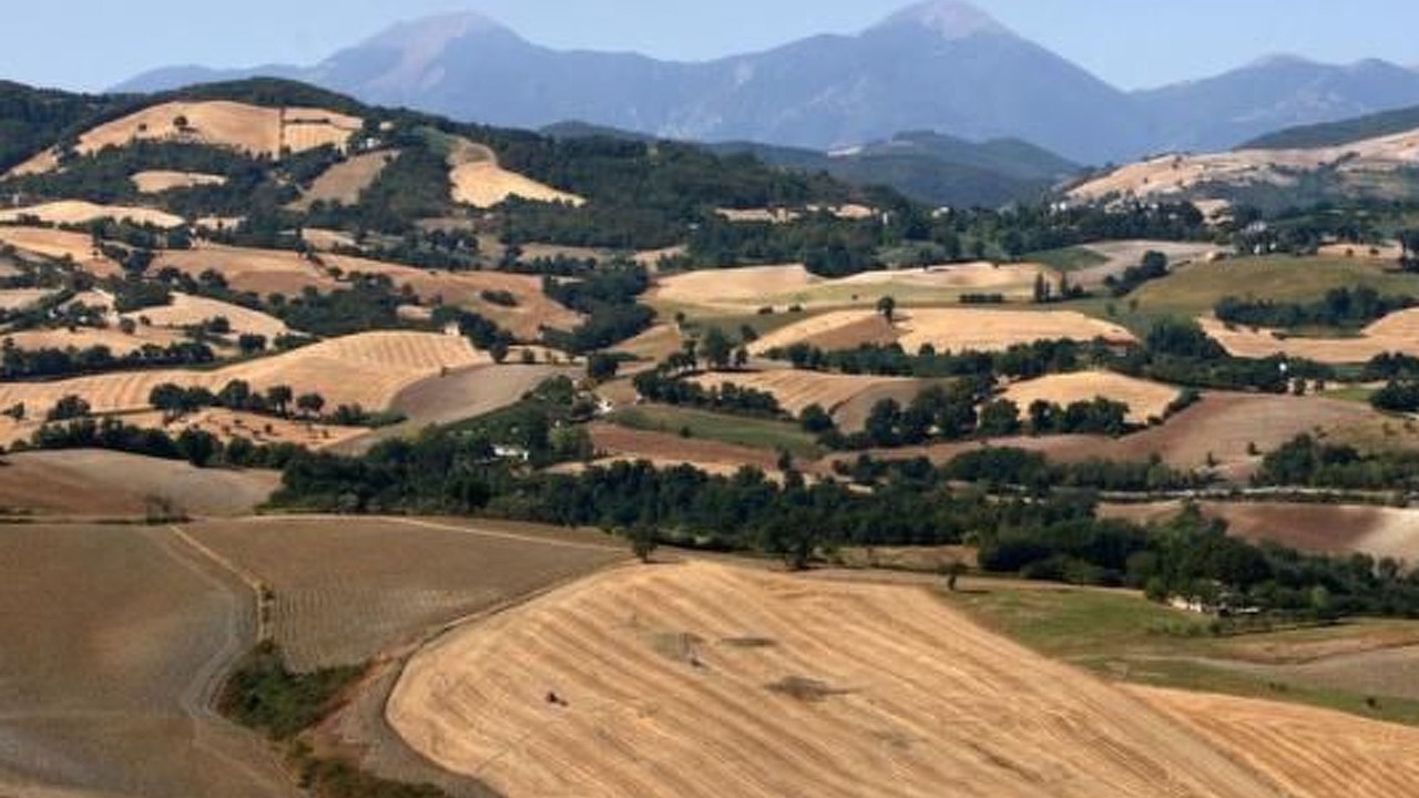 Photo of Others in Urbino