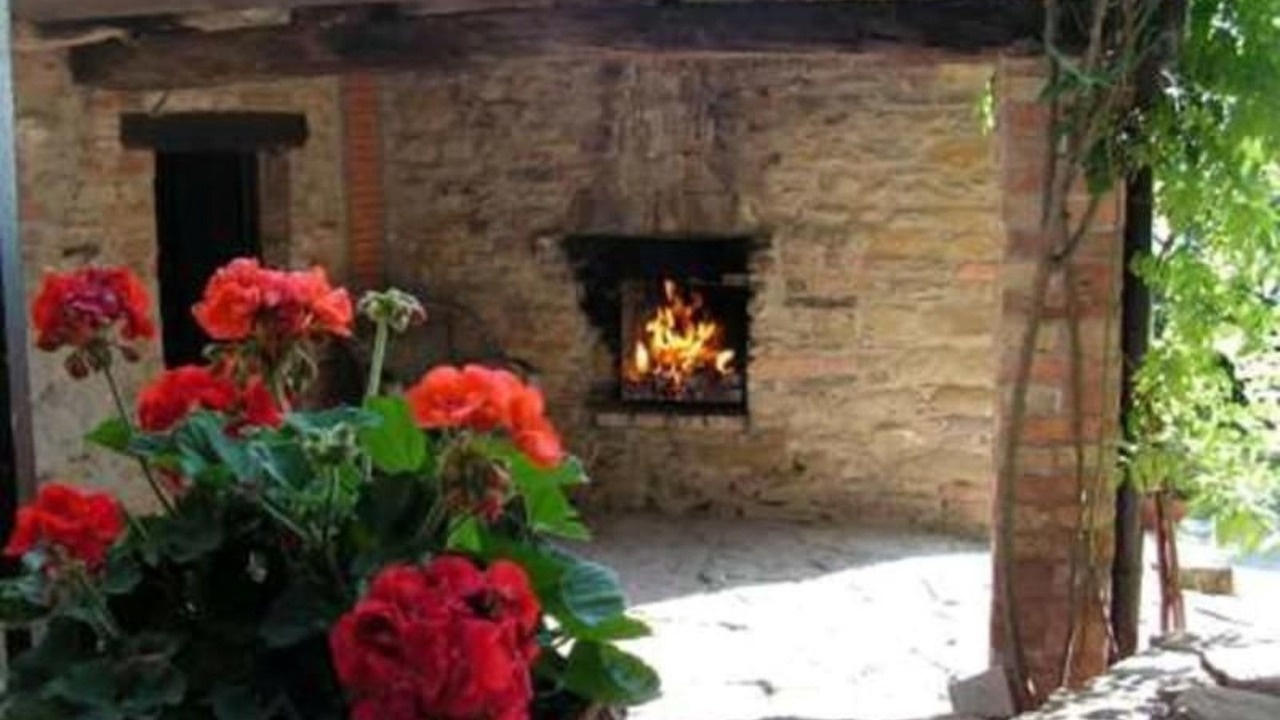 Photo of Others in Urbino