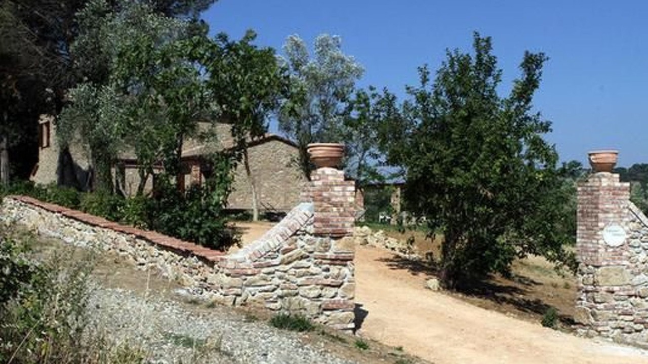 Photo of Others in Montescudaio