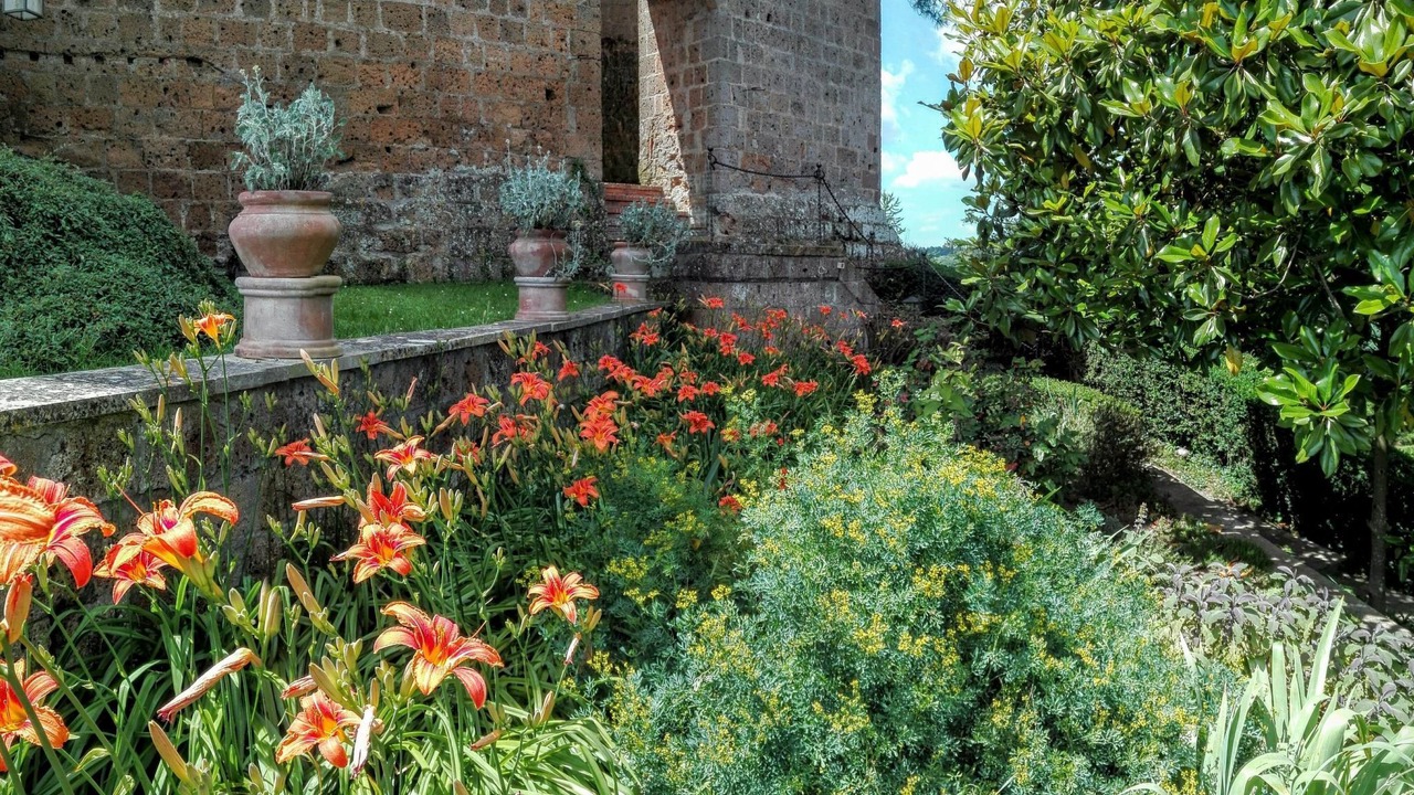 Photo of Outdoor in Proceno