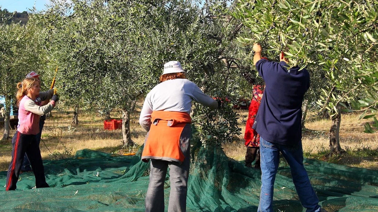 Photo of Others in Monte Vibiano Vecchio