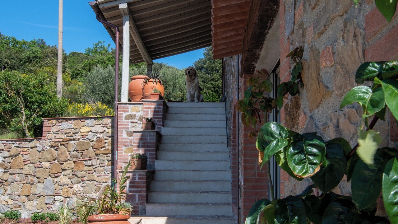 Photo of Outdoor in Piegaro