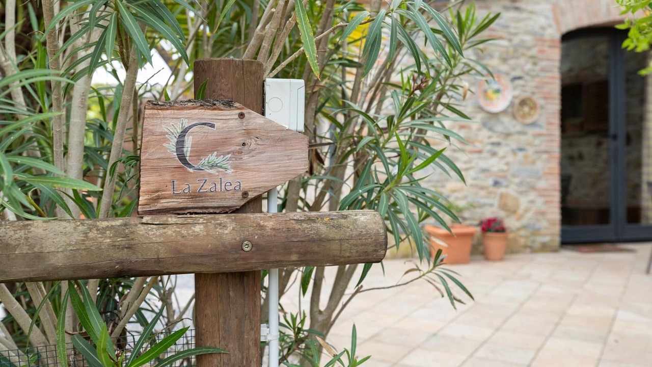Photo of Outdoor in Suvereto