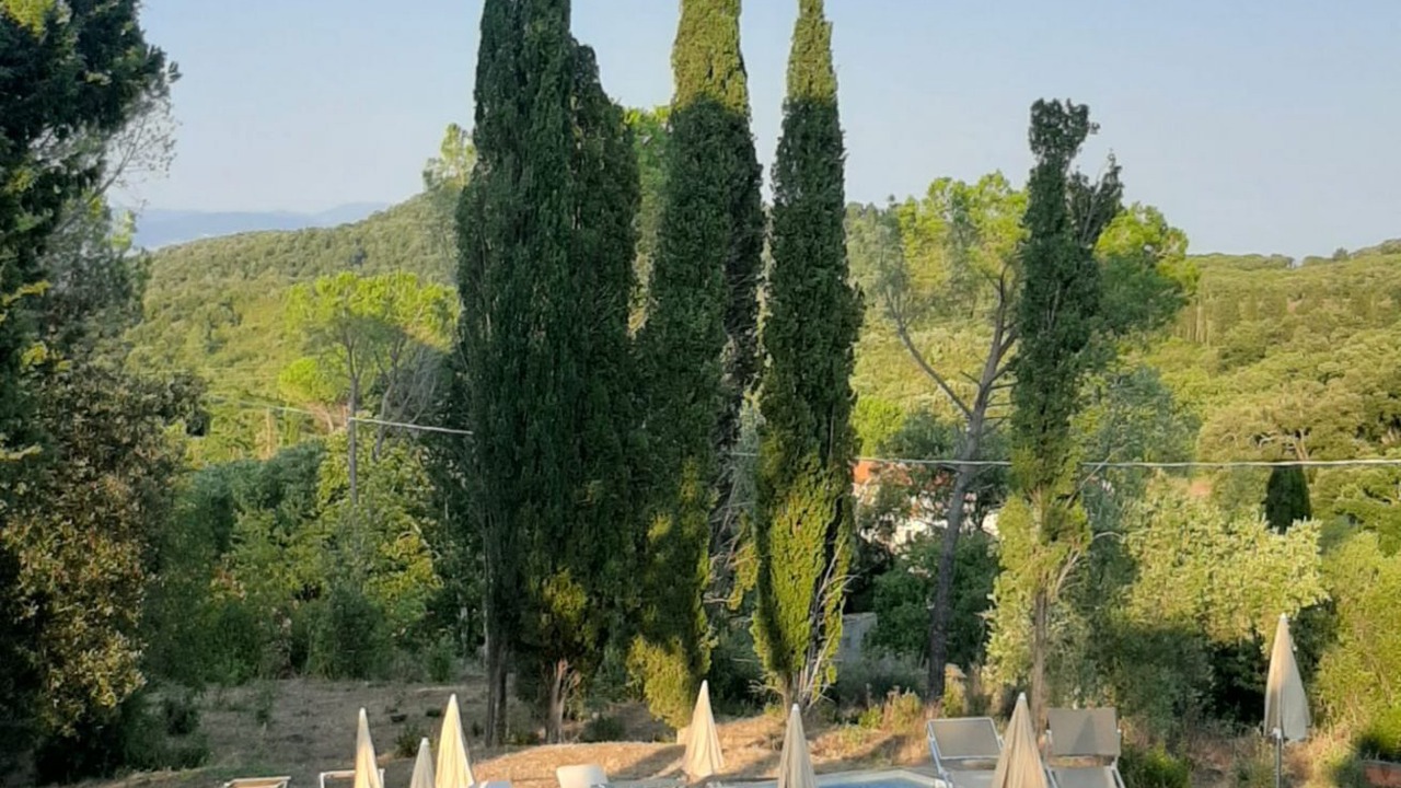 Photo of Outdoor in Suvereto