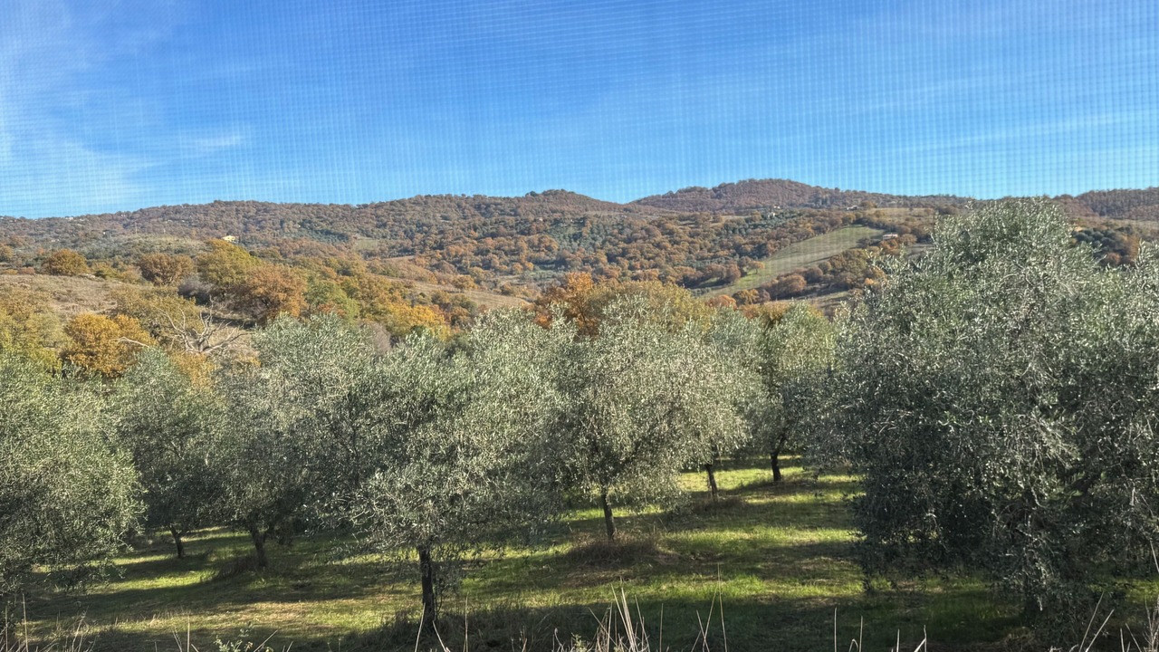 Photo of Others in Scansano