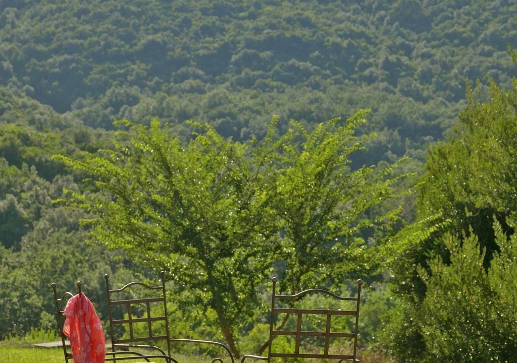 Photo of Outdoor in Bibbona