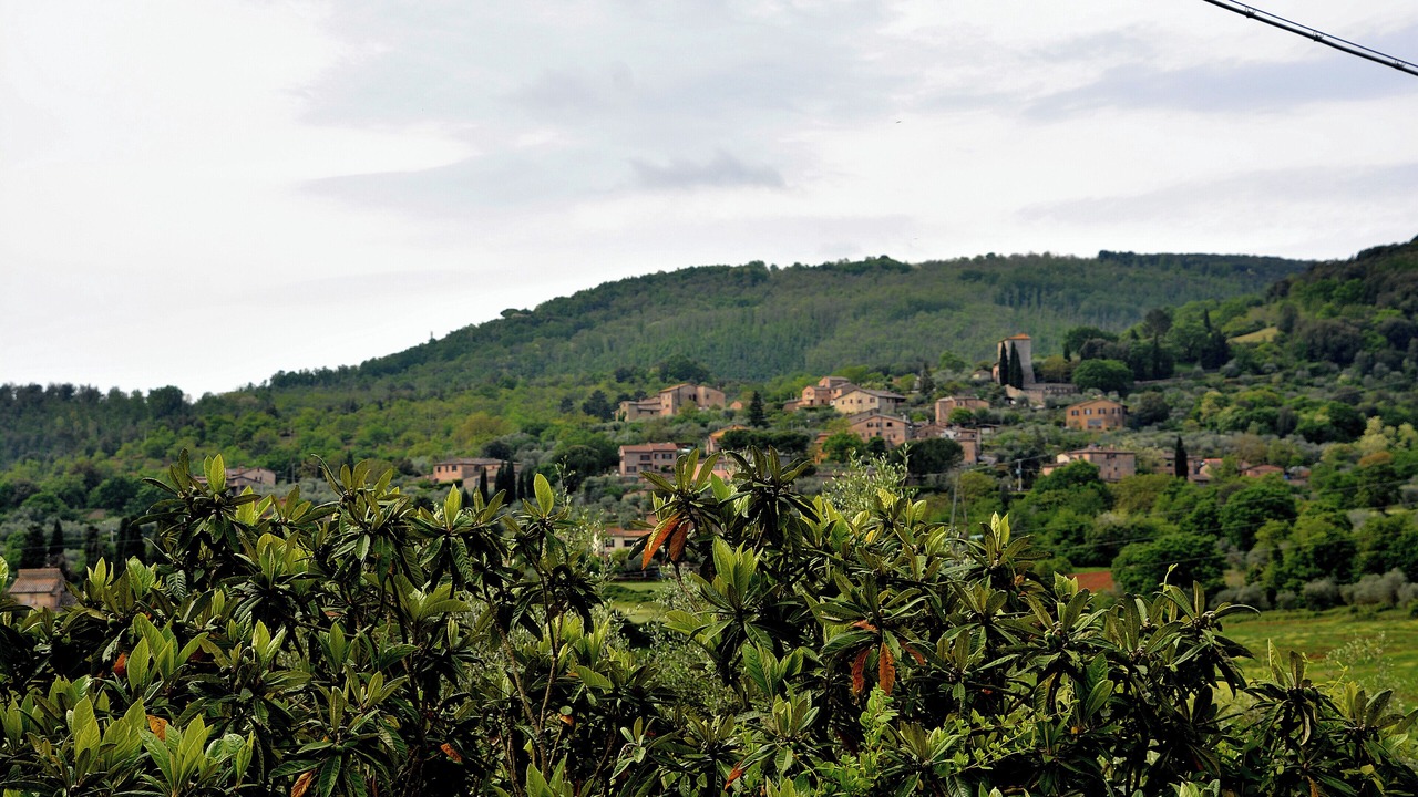 Photo of Others in La Cetina