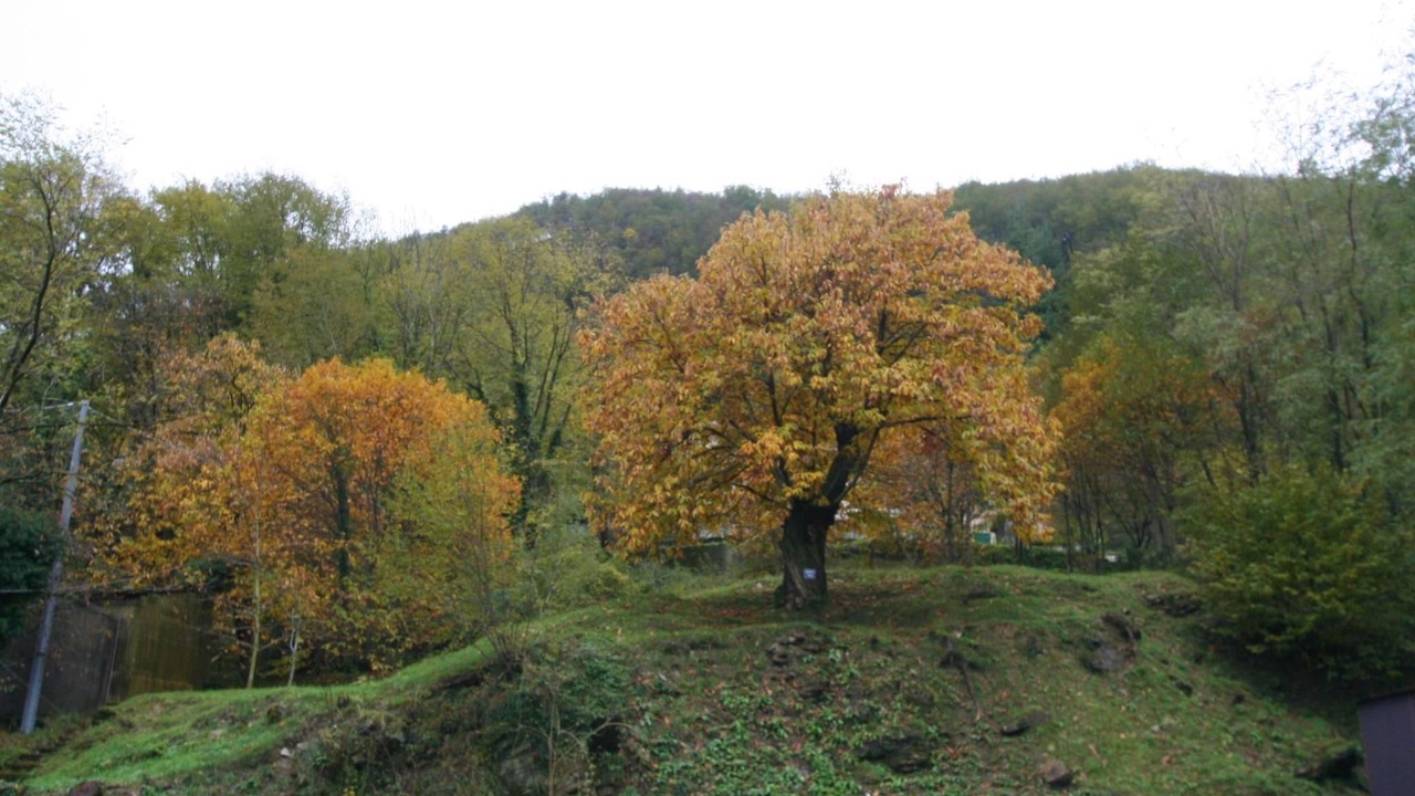 Photo of Others in Lumarzo