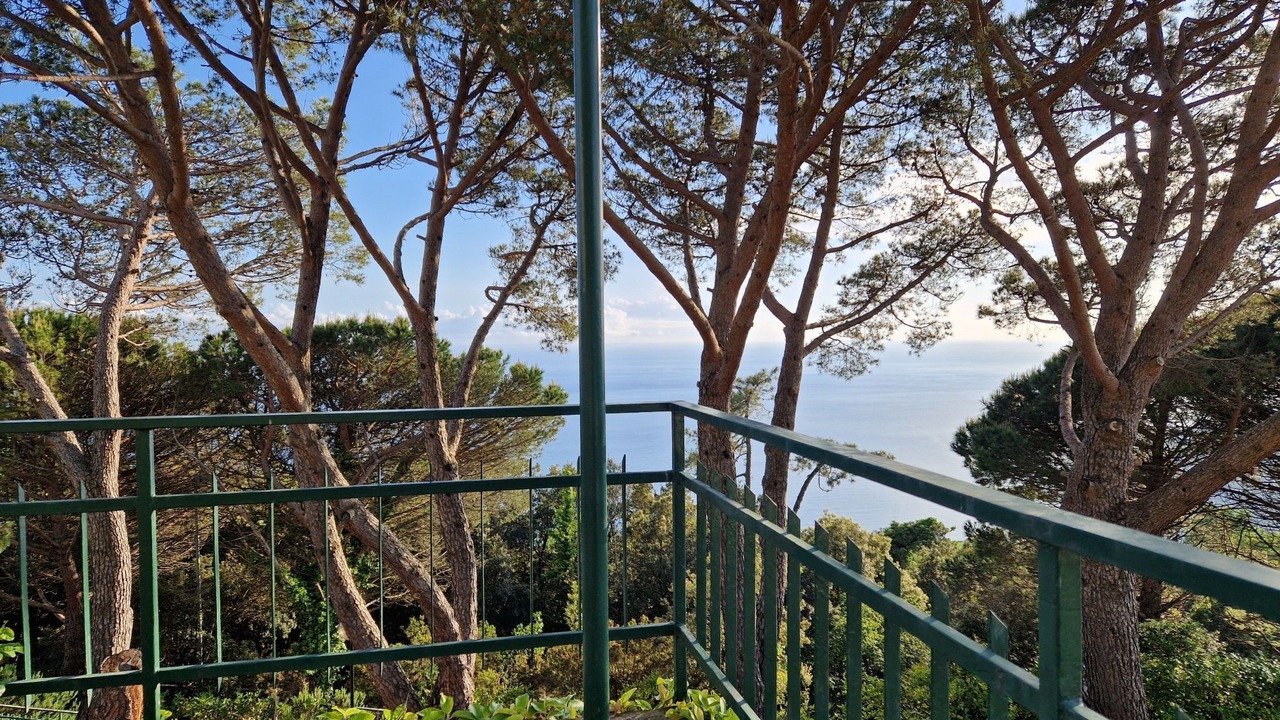 Photo of Outdoor in Costa