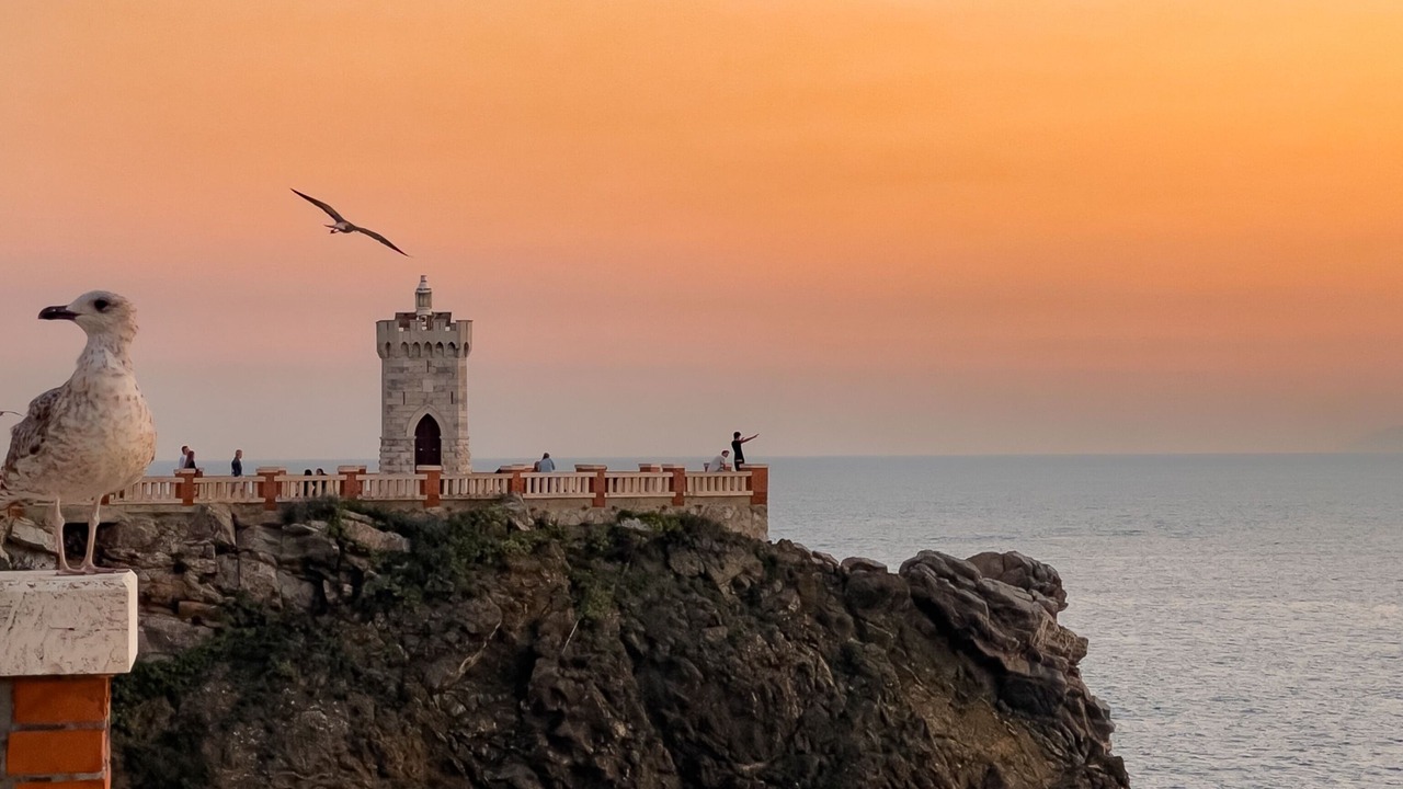 Photo of Others in Piombino