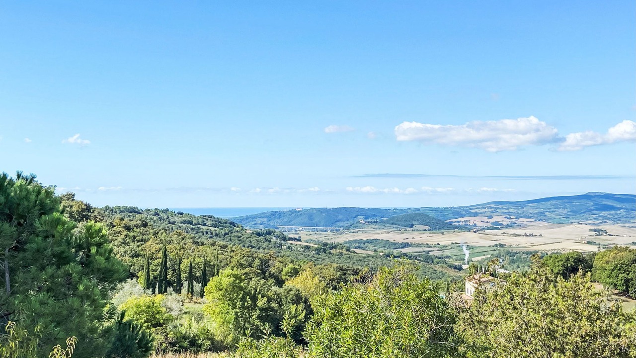 Photo of Others in Castellina Marittima