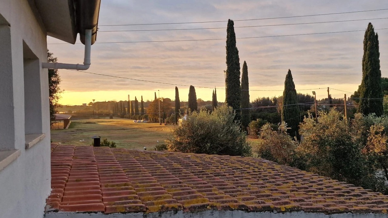 Photo of Outdoor in Pescia Romana