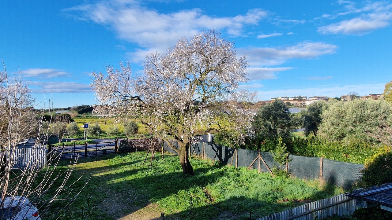 Photo of Outdoor in Pescia Romana