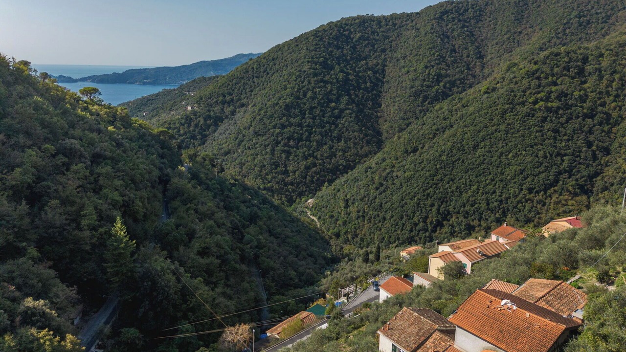 Photo of Others in Zoagli