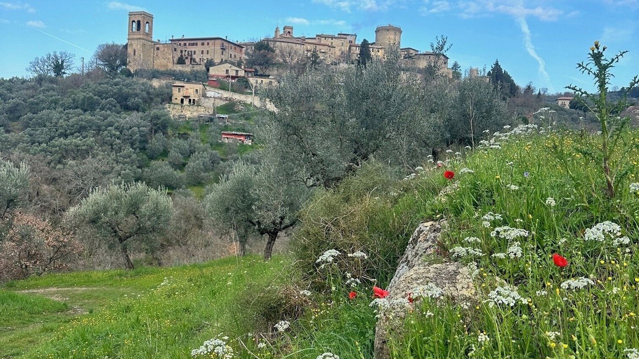 Photo of Others in Gualdo Cattaneo