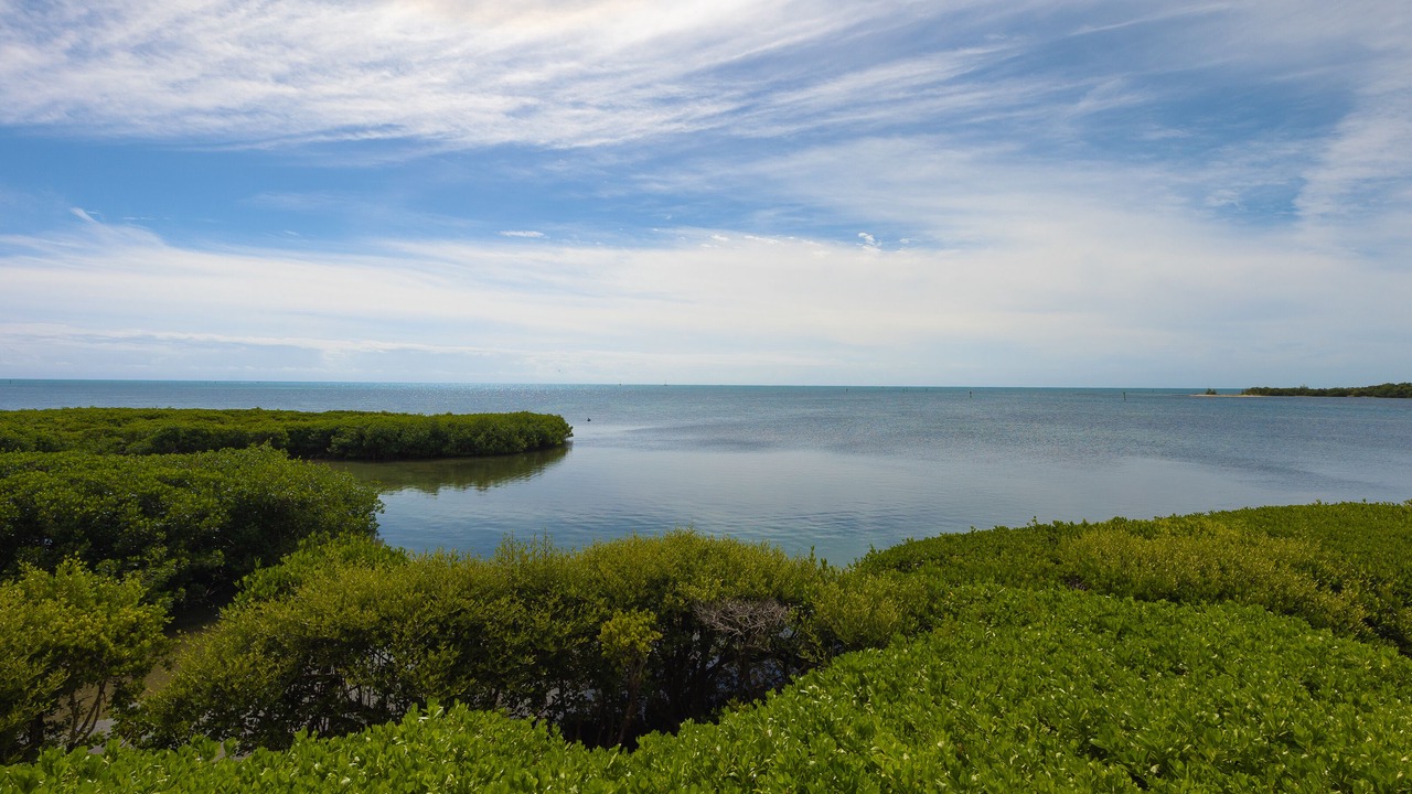 Photo of Others in Key West