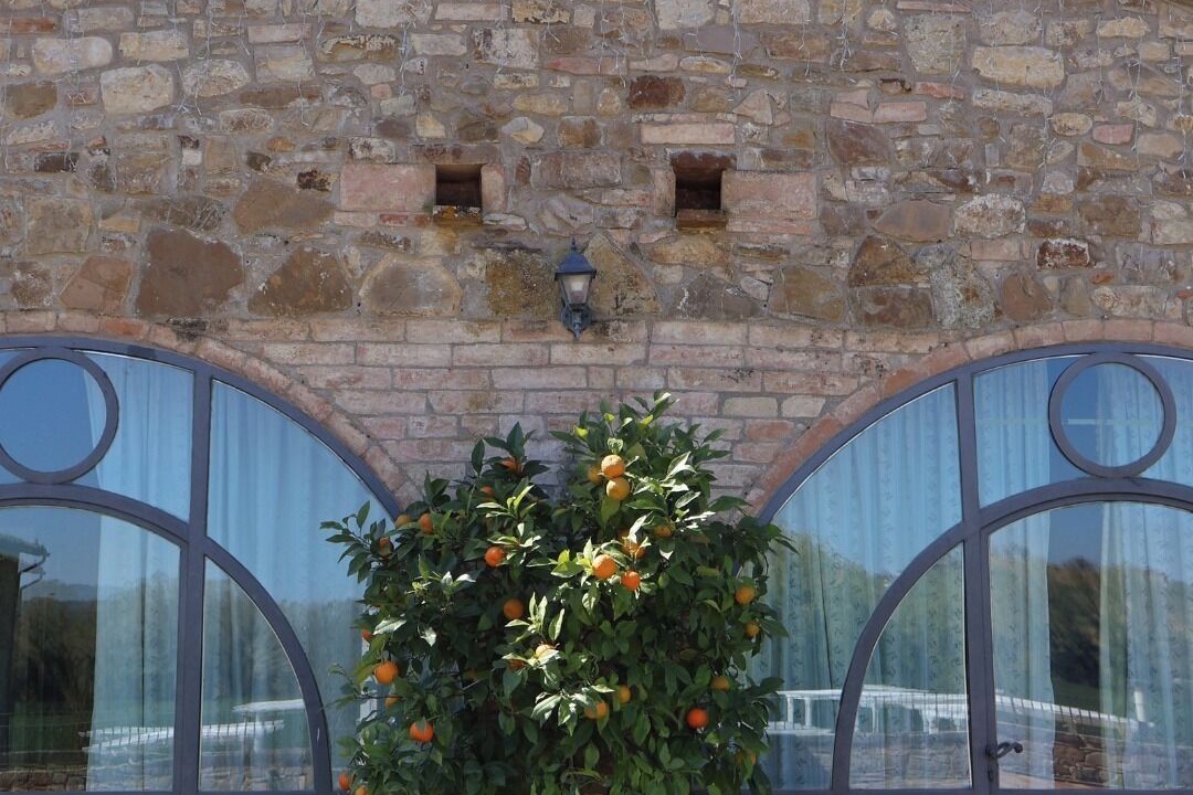 Photo of Outdoor in Pian di San Martino