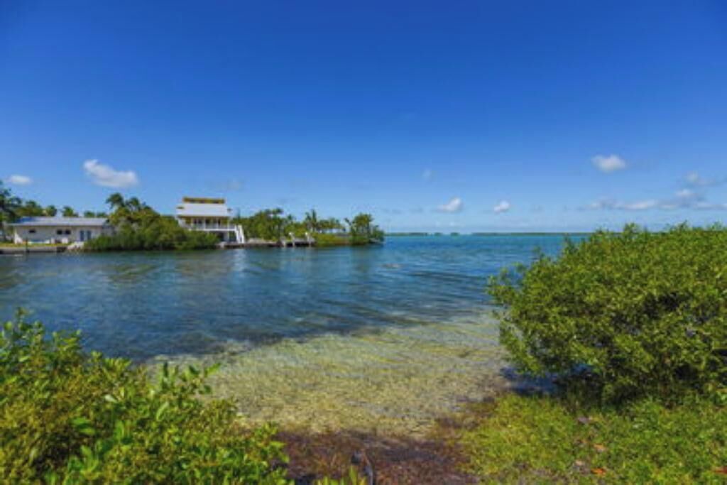Photo of Others in Big Coppitt Key