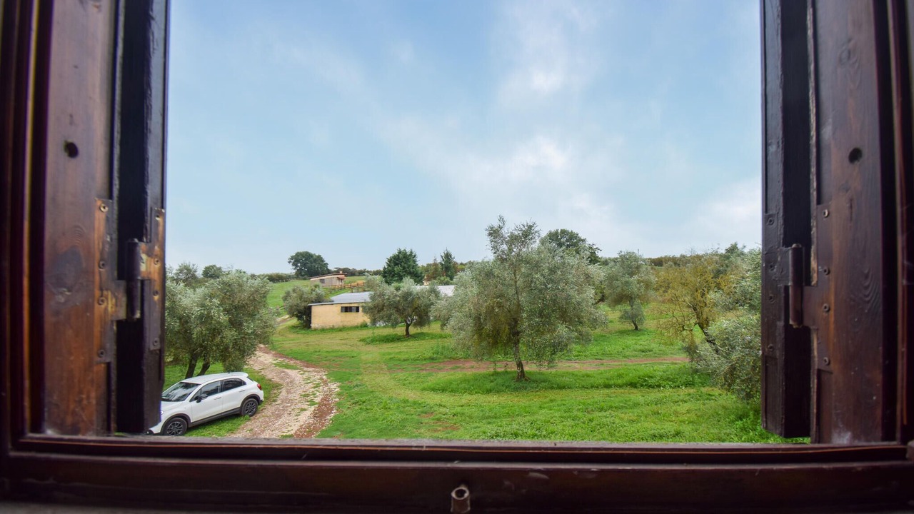 Photo of Bedroom in Vignanello