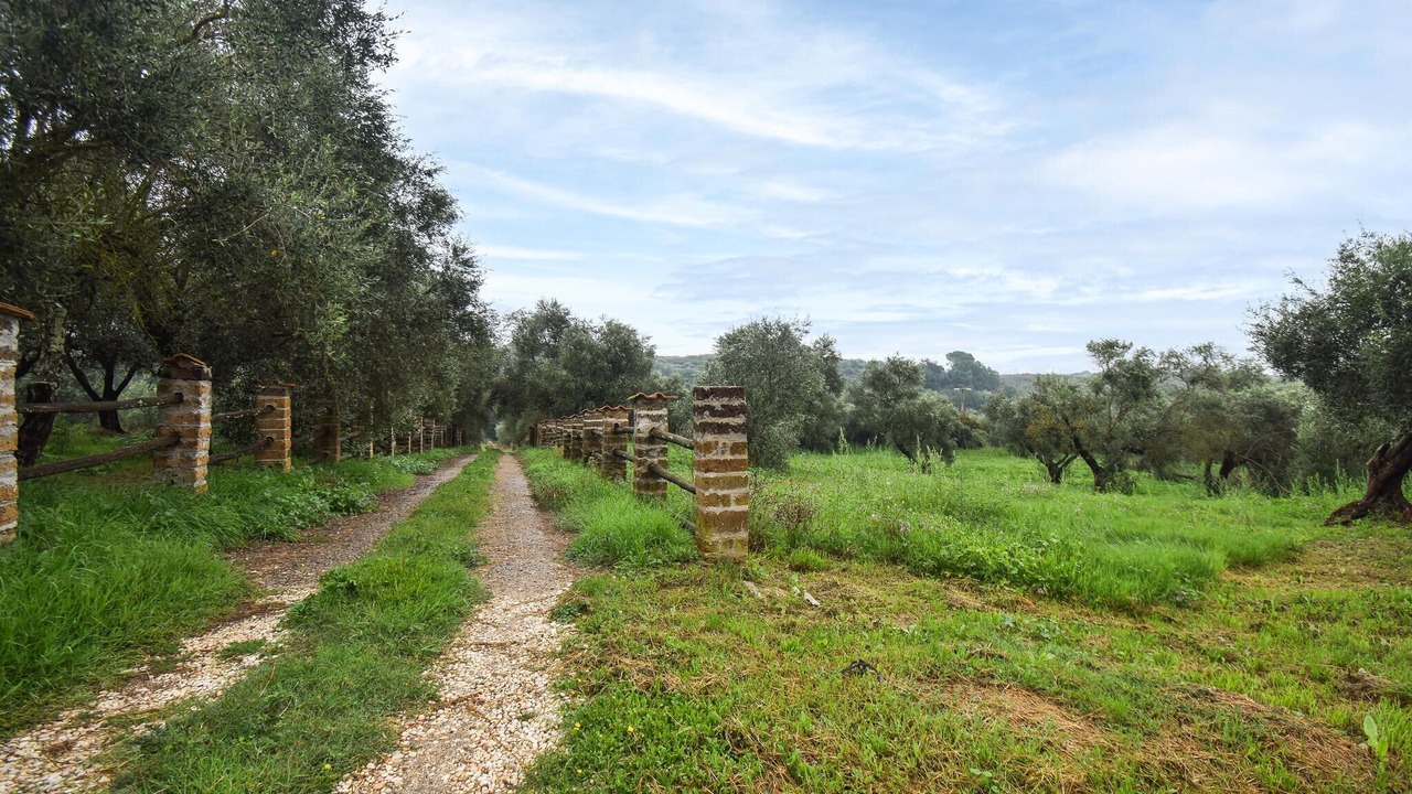 Photo of Others in Vignanello