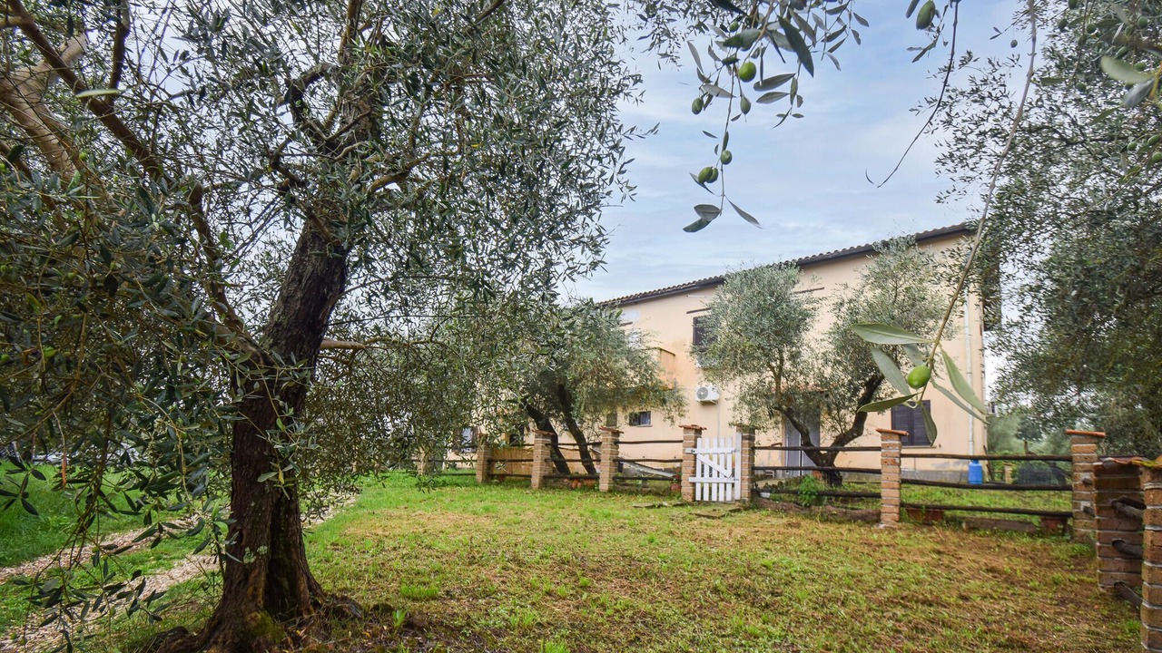 Photo of Others in Vignanello