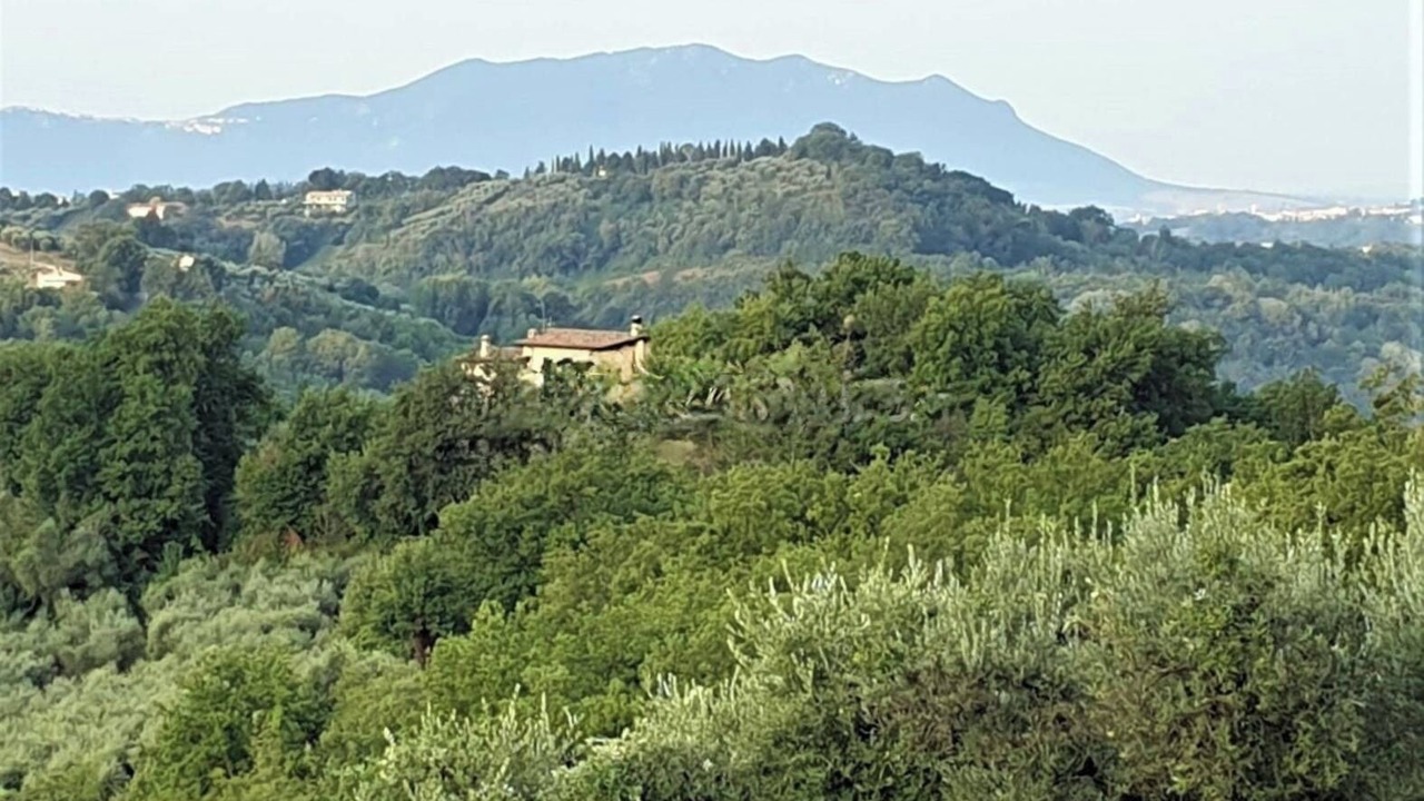 Photo of Others in Selci