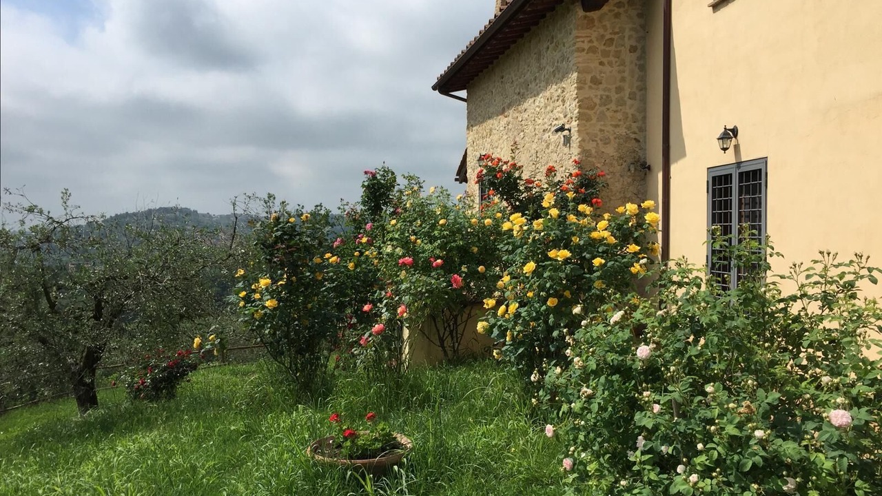 Photo of Outdoor in Selci