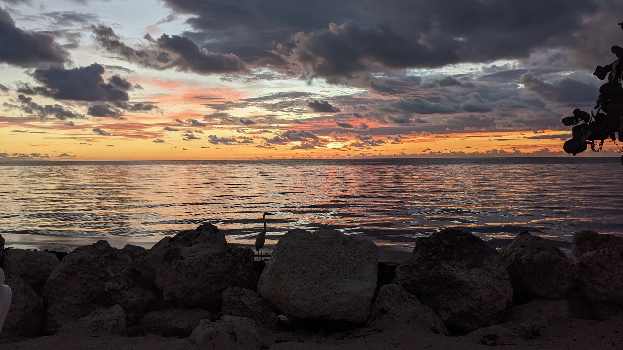 Photo of Others in Key Largo