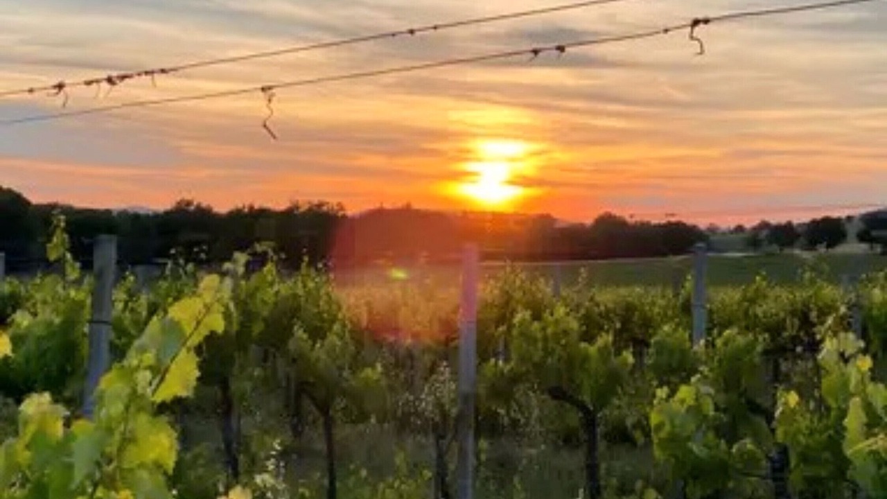 Photo of Others in Montefalco