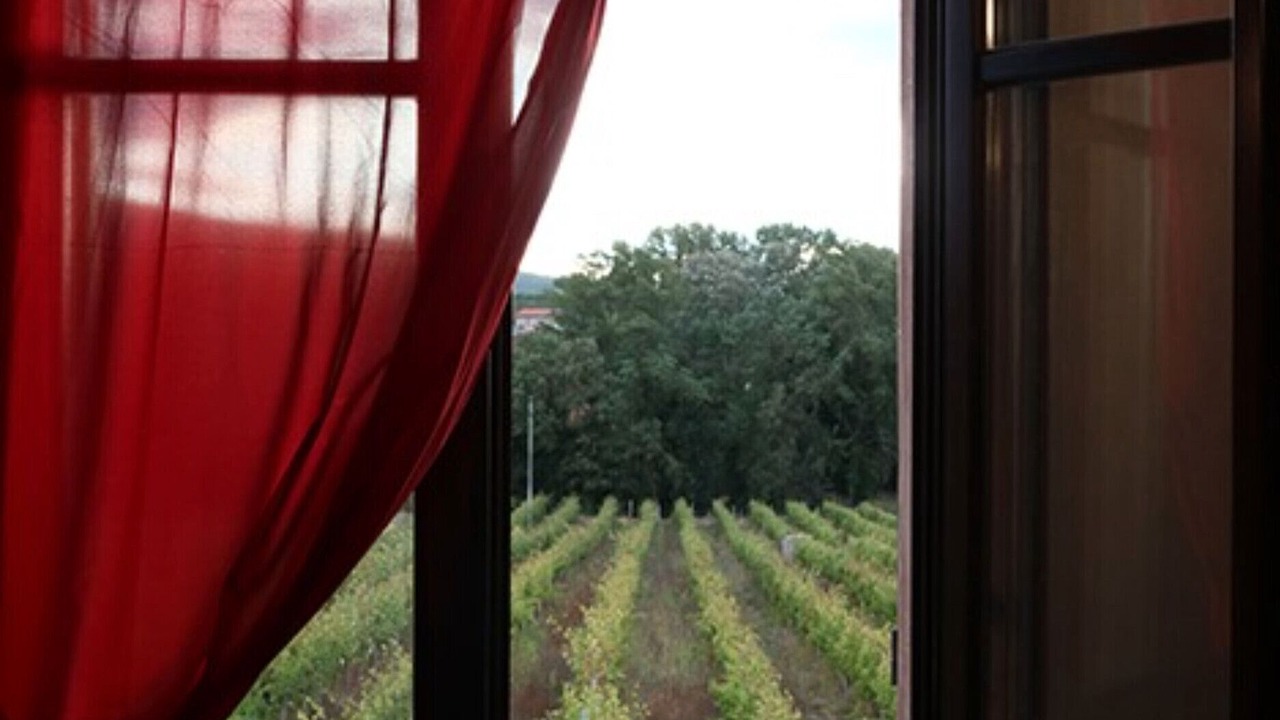 Photo of Others in Montefalco