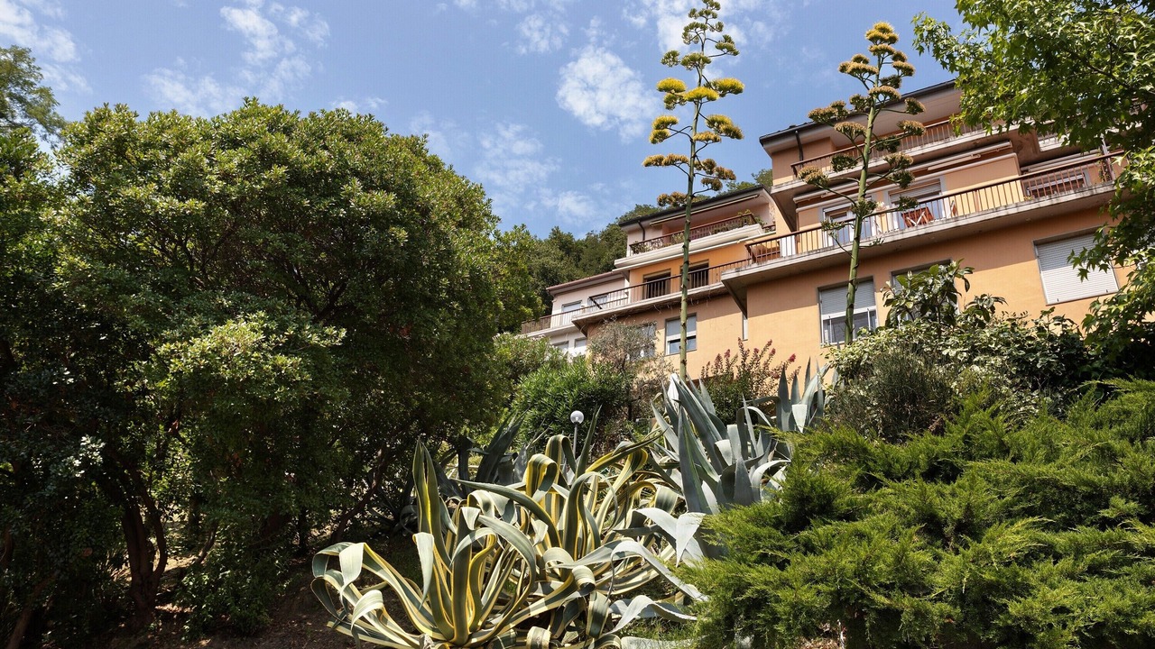 Photo of Outdoor in Lerici