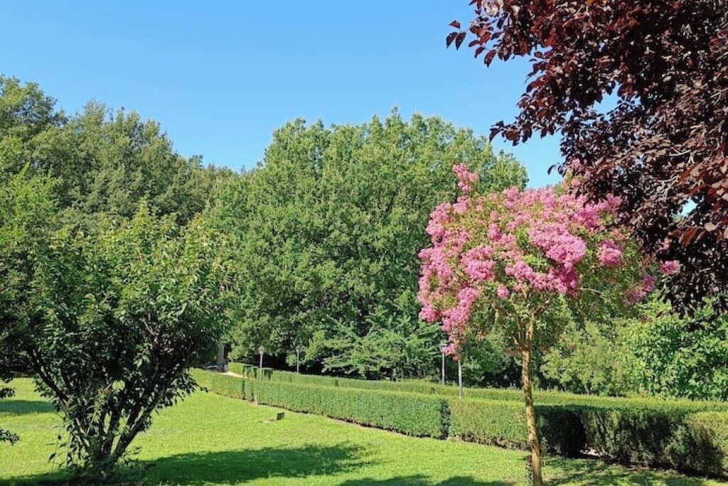 Photo of Outdoor in Vetralla