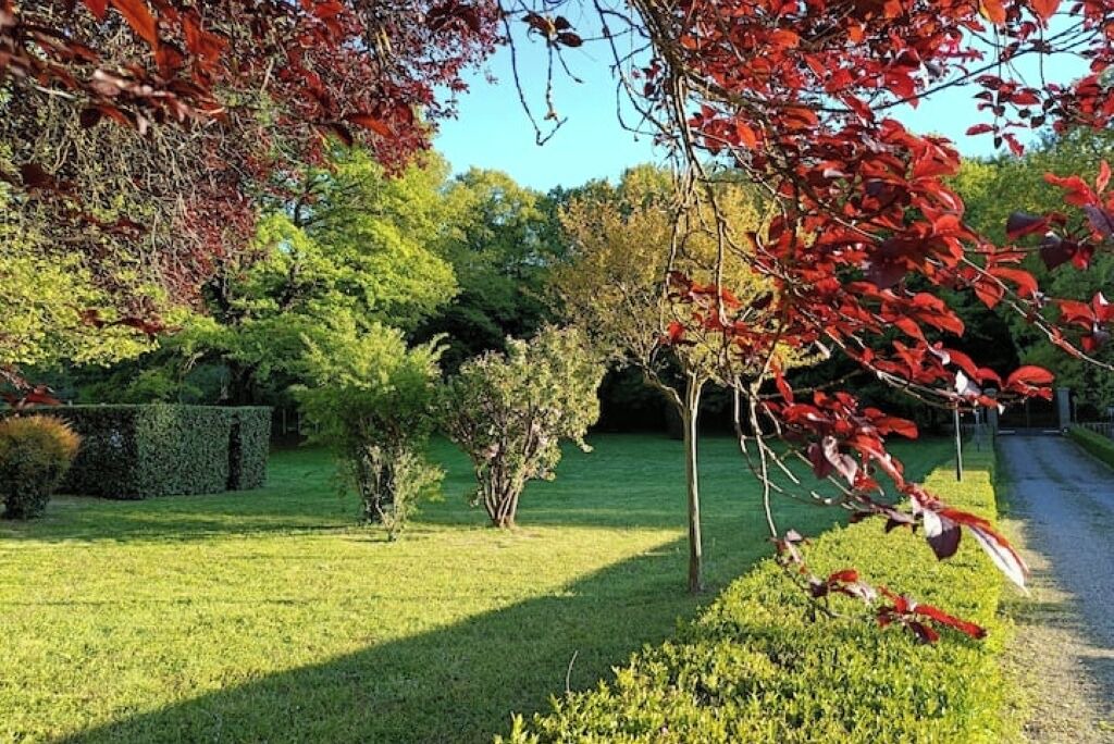 Photo of Outdoor in Vetralla