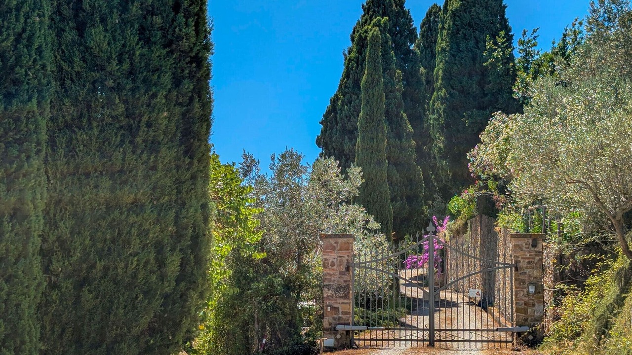 Photo of Outdoor in Suvereto